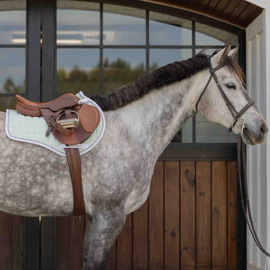 Equinavia Svalbard Pony Saddle Pad with NordicAir™ Tech image 