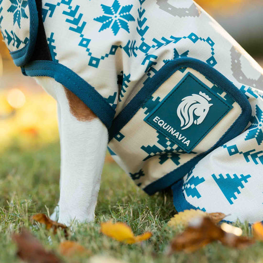 Equinavia Norse Dog Turnout Sheet image 