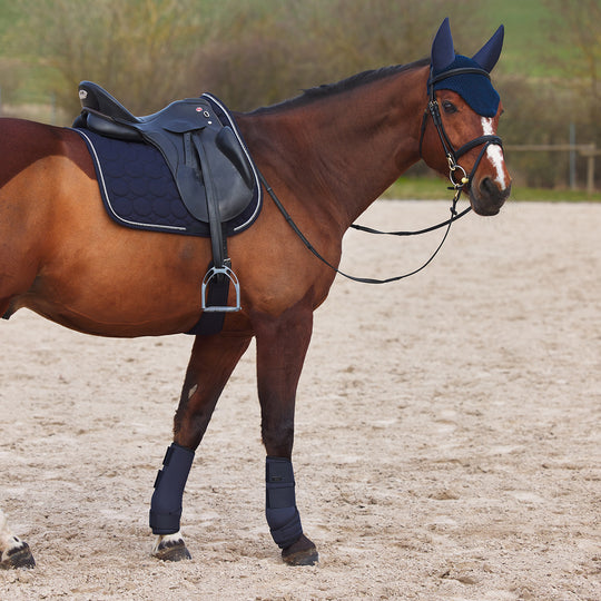 Horze Marquess Ear Net image 