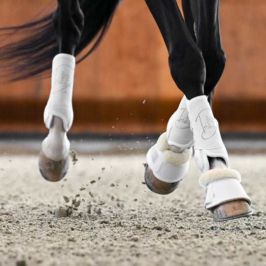 Veredus Absolute Easy Strap Rear Dressage Boots image 