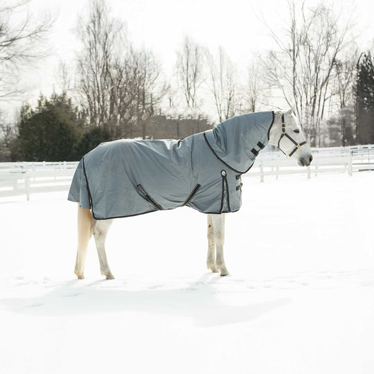 Equinavia Thunder 360 Detachable Neck Mid Weight Turnout Blanket 200g image 