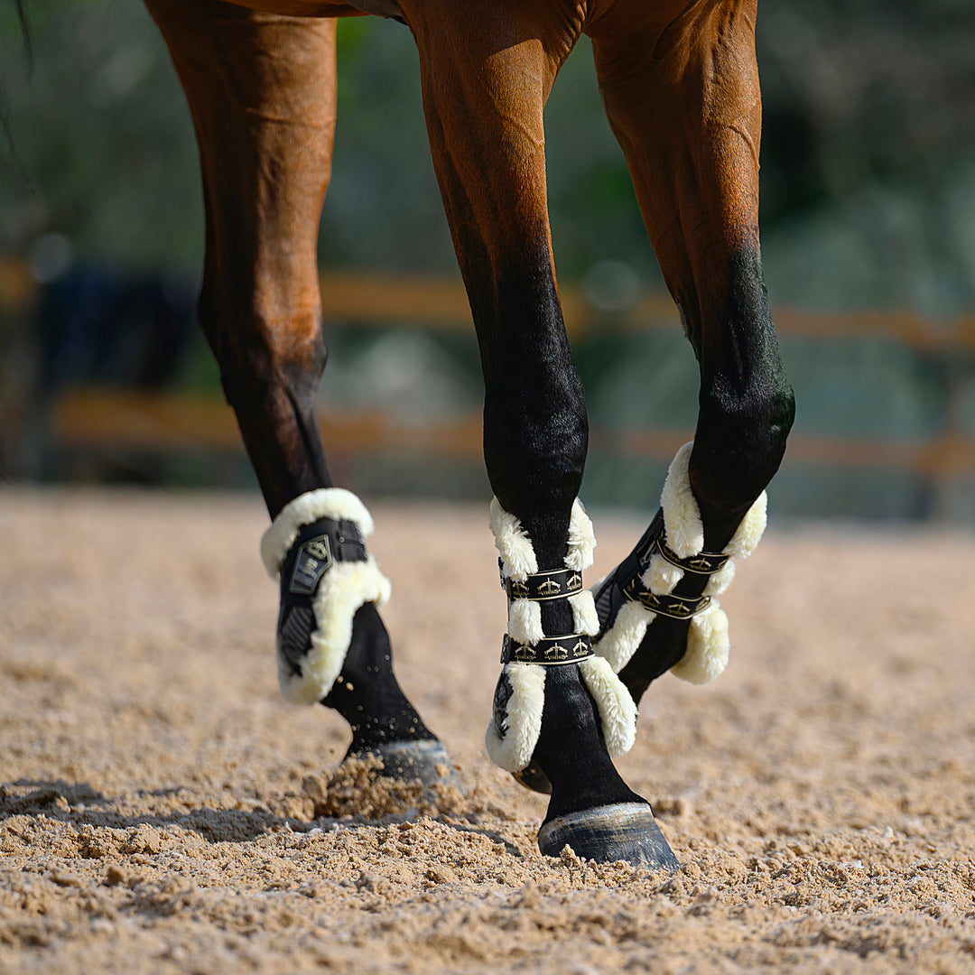 Veredus Carbon Gel Absolute Save the Sheep Rear Fetlock Boots image 