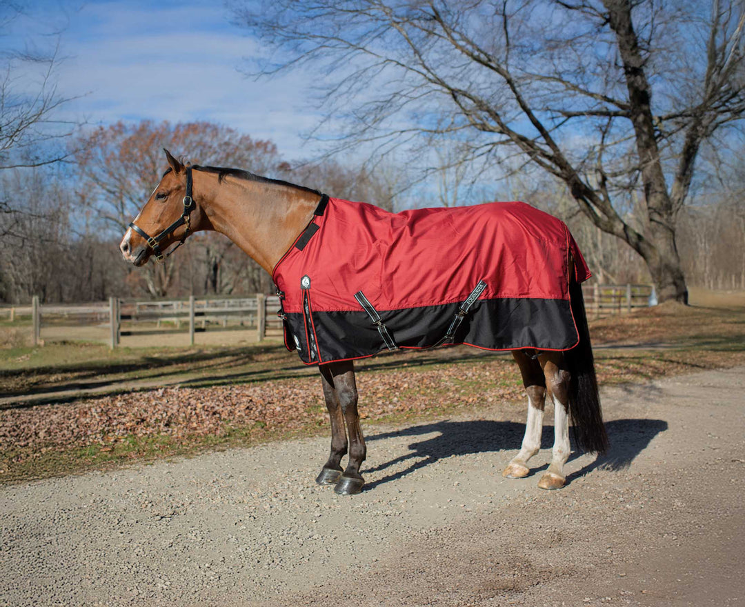 Equinavia Norse Mid Weight Turnout Blanket 200g image #1