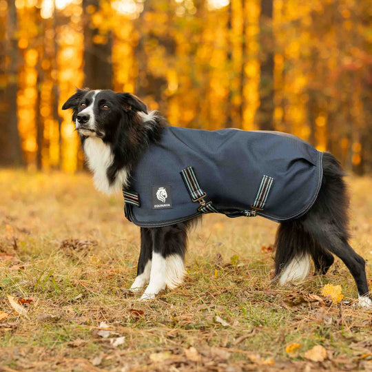 Equinavia Arktis Dog Turnout Blanket 200g image 