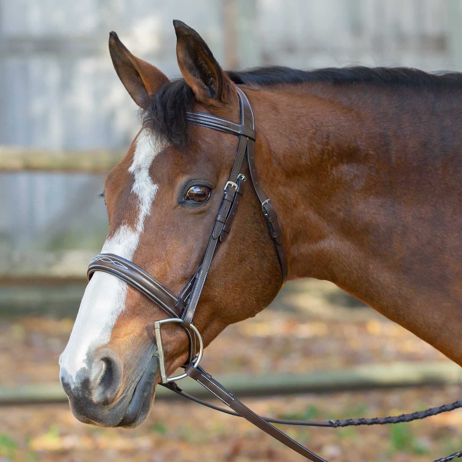 Equinavia Saga Wide Noseband Hunter Bridle with Reins image #1