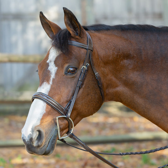 Equinavia Saga Wide Noseband Hunter Bridle with Reins image 