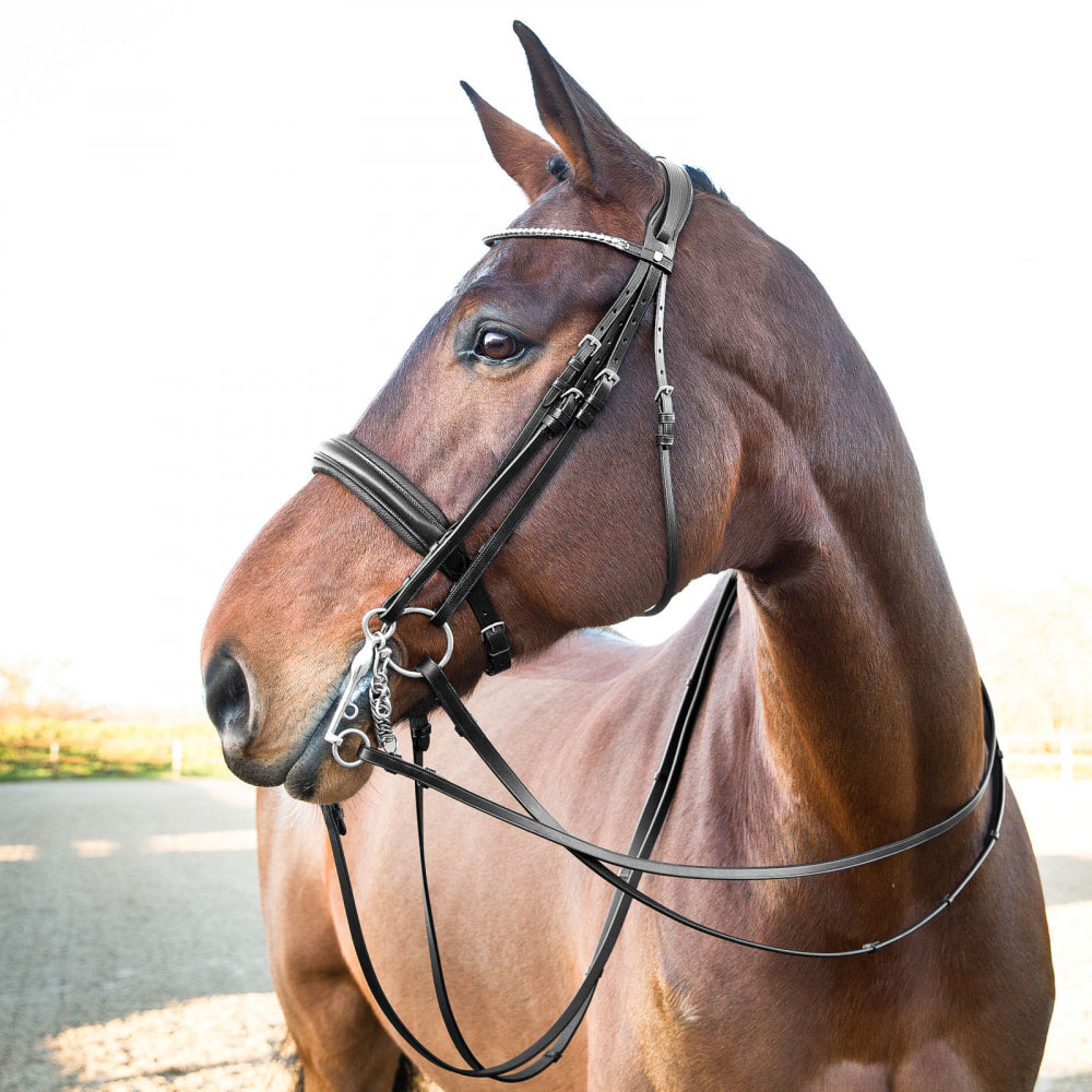 Horze Vienna Weymouth Dressage Bridle image 