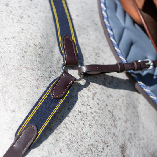 Equinavia Valkyrie Elastic Breastplate image 