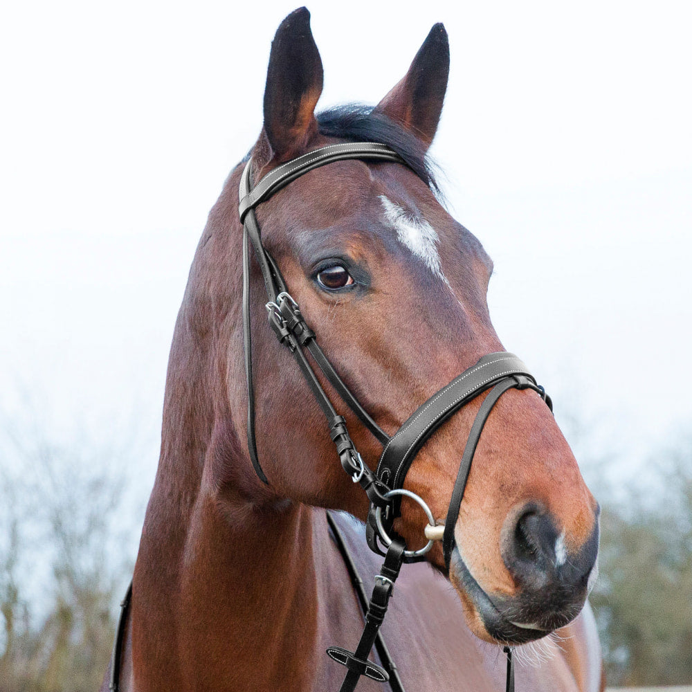 Horze Venice Soft Padded Bridle w/ Reins image #1
