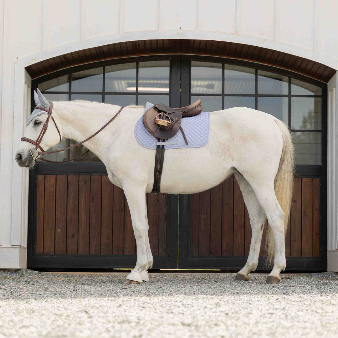Equinavia Harstad Pony All Purpose Saddle Pad image 