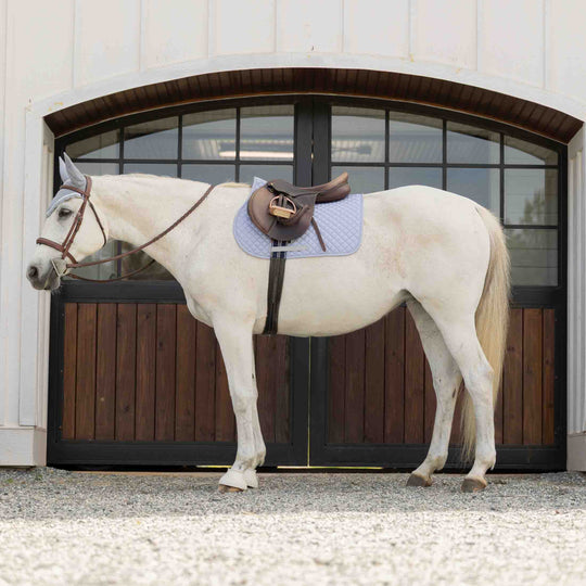 Equinavia Harstad Pony All Purpose Saddle Pad image 