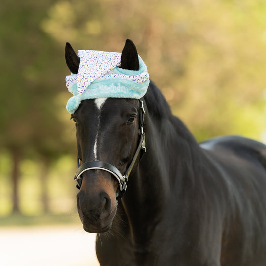 Equinavia Horse Birthday Hat image 