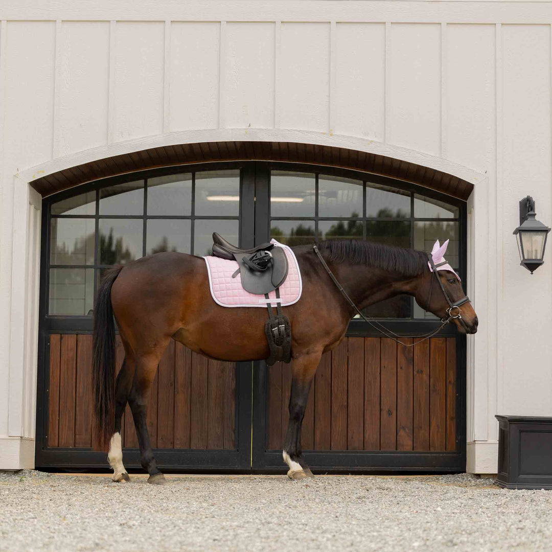 Equinavia Svalbard Ear Net with NordicAir™ Tech image 