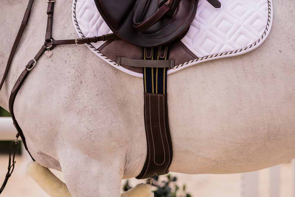 Equinavia Valkyrie Anatomical Long Girth image #2