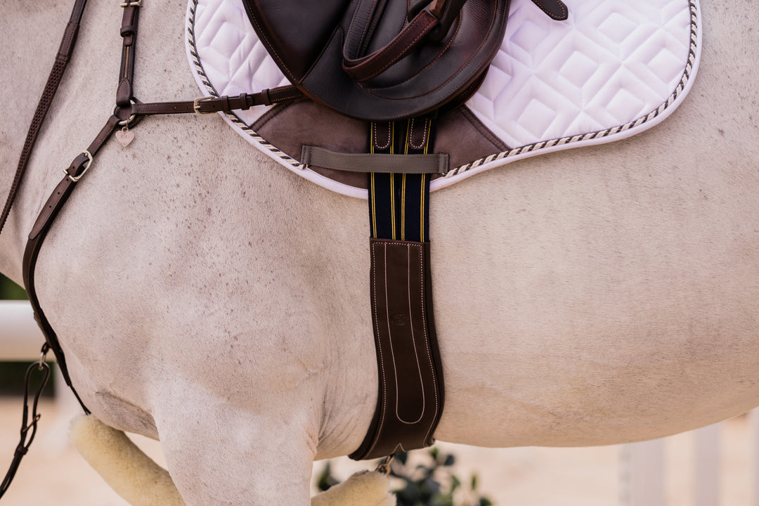 Equinavia Valkyrie Anatomical Long Girth image 