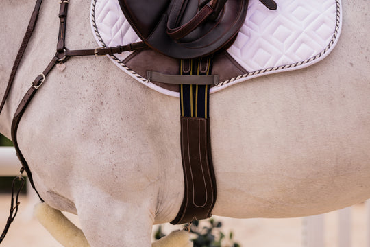 Equinavia Valkyrie Anatomical Long Girth image 