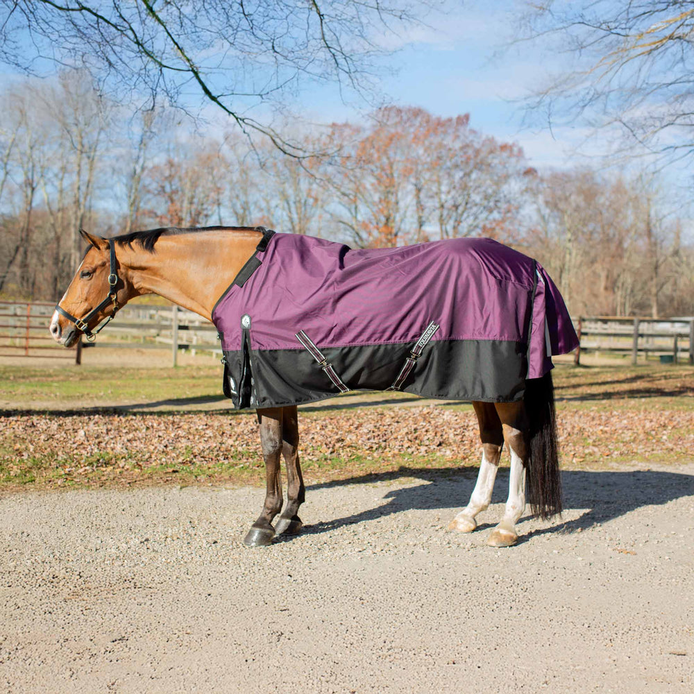 Equinavia Thunder 360 Detachable Neck Turnout Sheet image #2