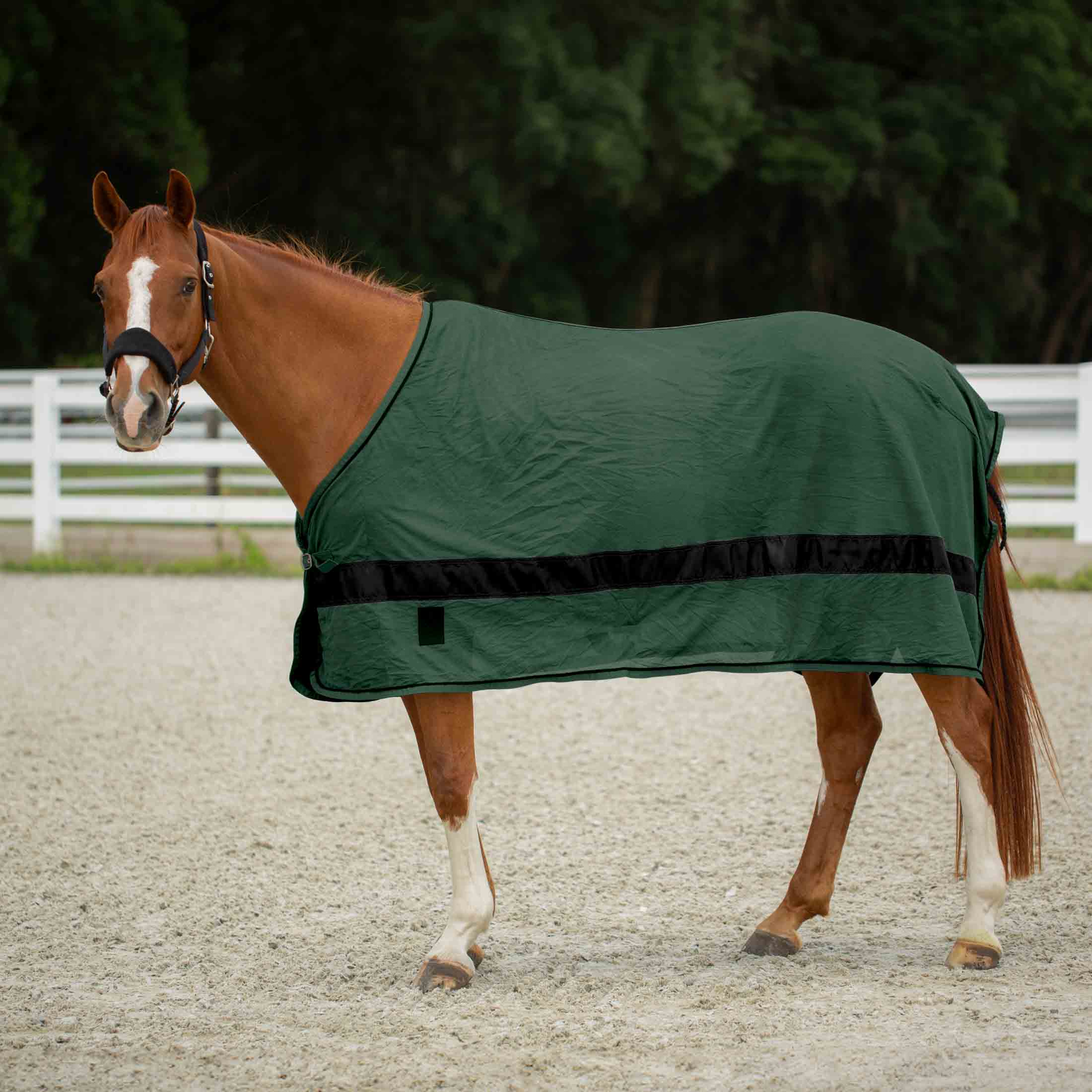 Equinavia Sol Ringside Scrim Sheet image #1