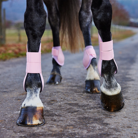 Horze Chicago Tendon Open Front Horse Boots image 