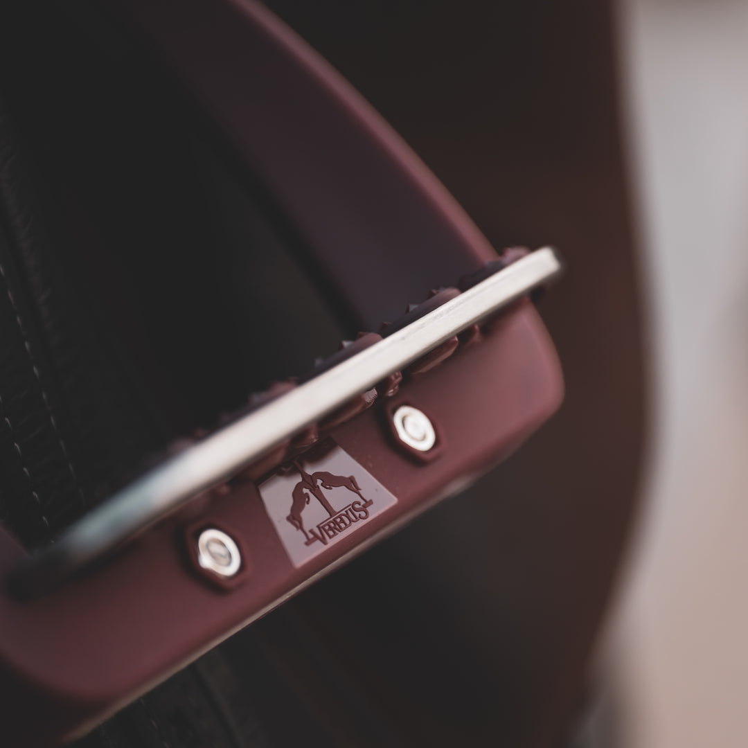 Veredus Vita Stirrup Steel1 image 