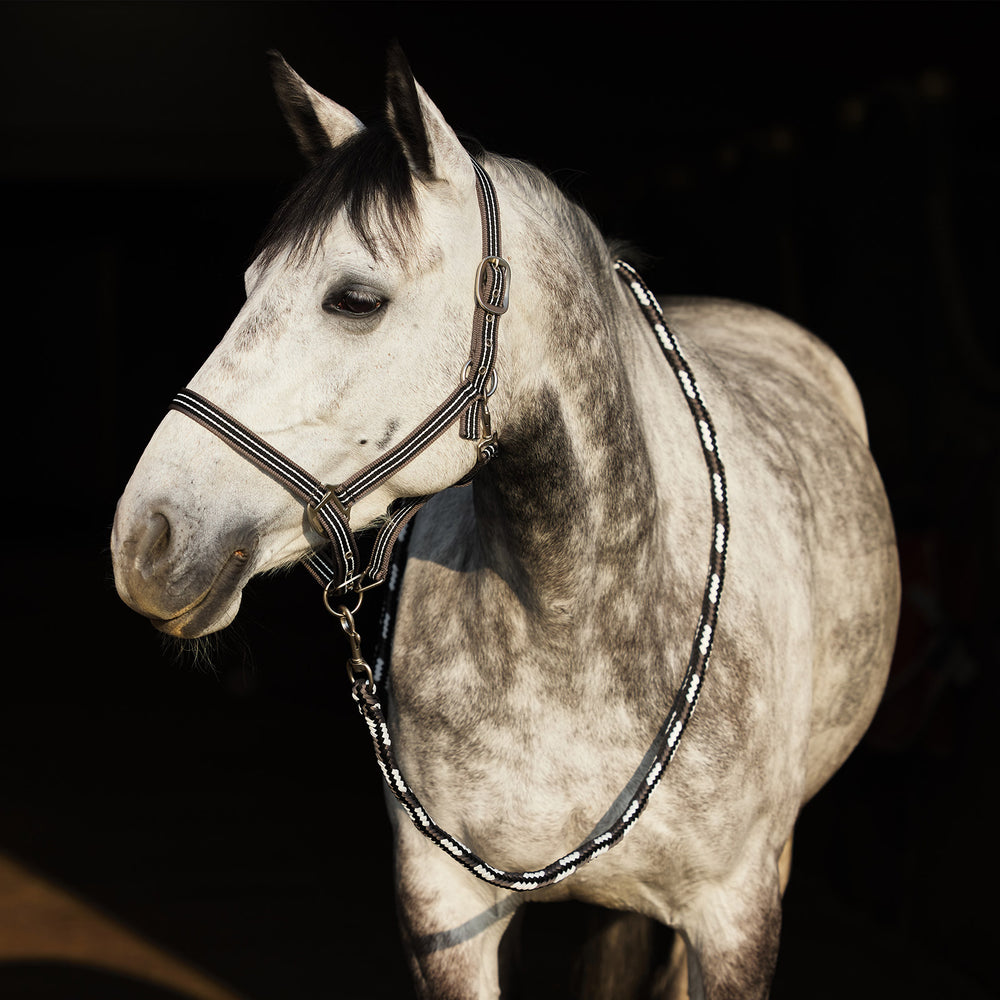 Horze Adepto Lead image #2