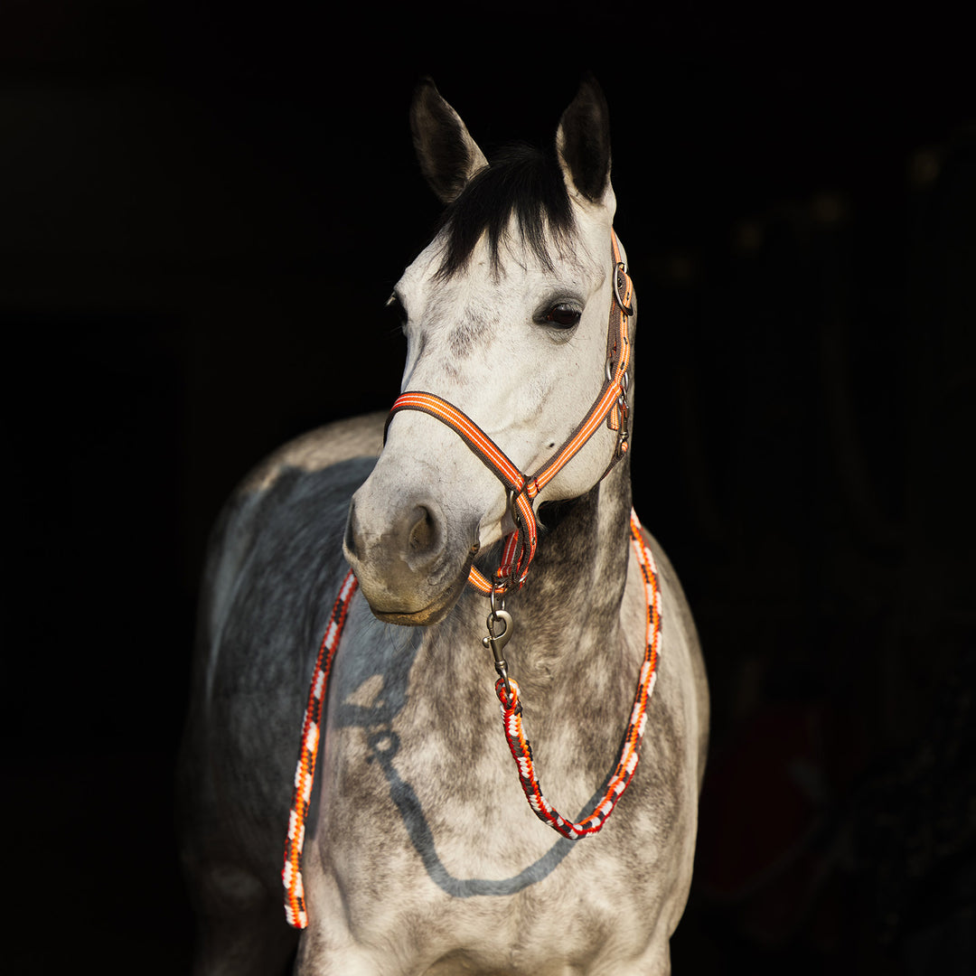 Horze Adepto Halter image 