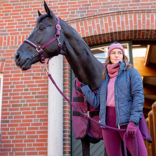 Horze Eternal Gaze Halter and Lead Set image 