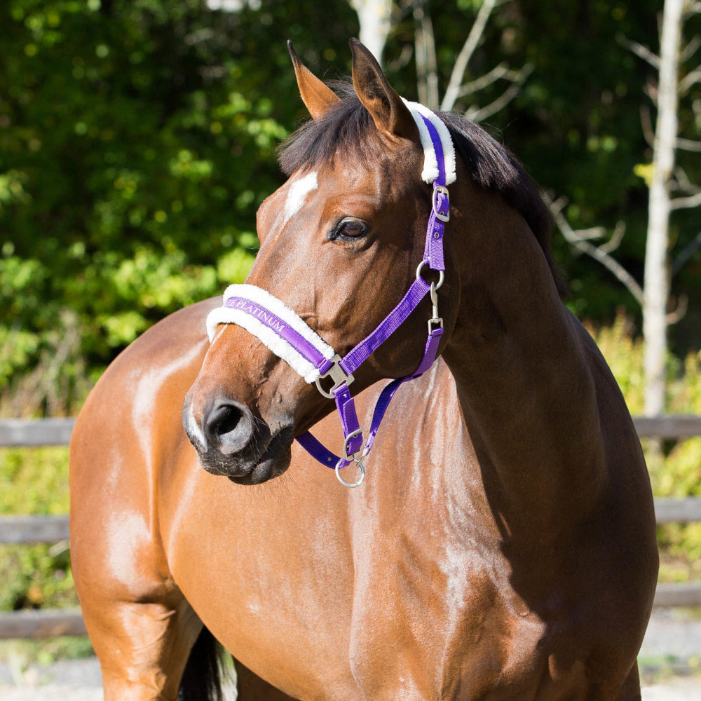 Horze Howard Halter image #1
