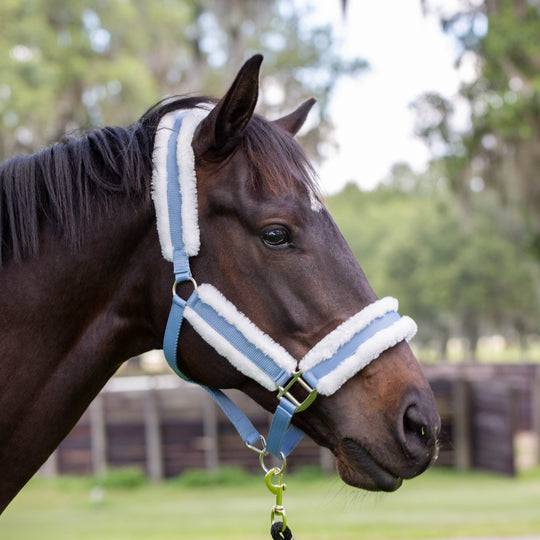 Equinavia Valkyrie Ultra Fleece Breakaway Halter image 