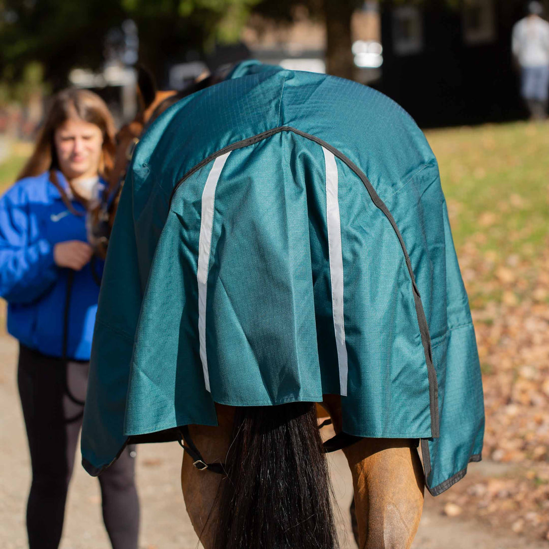 Equinavia Arktis Extended Neck Mid Weight Turnout Blanket 200g image 