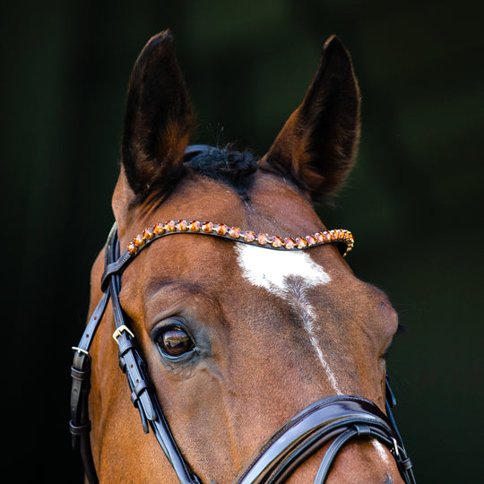 Horze Clermont Ergonomic Crystal Bridle image 