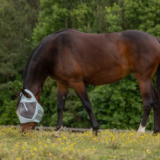 Equinavia Algard Soft Mesh Earless Fly Mask image 