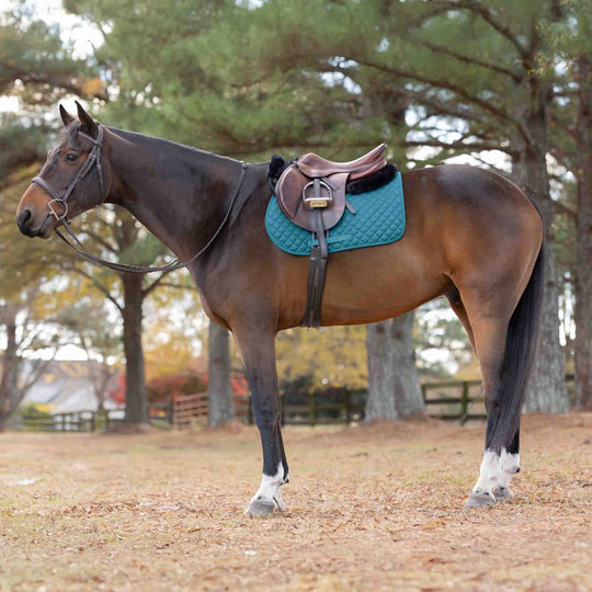 Equinavia Harstad Dressage Saddle Pad image 