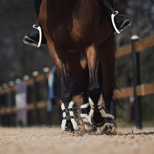 Veredus Carbon Gel Absolute Save the Sheep Rear Fetlock Boots image 