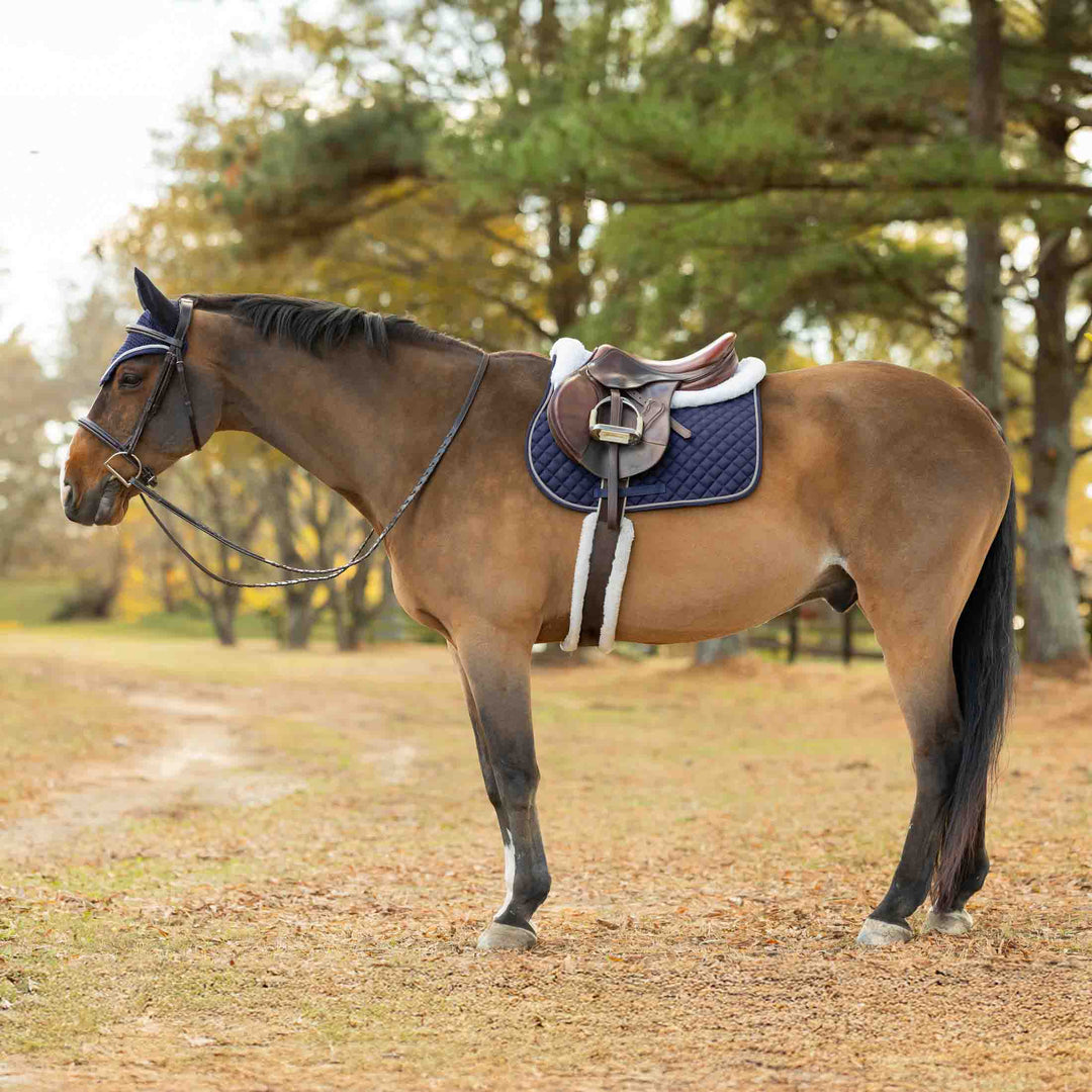 Equinavia Voss All Purpose Saddle Pad and Bonnet Set image 