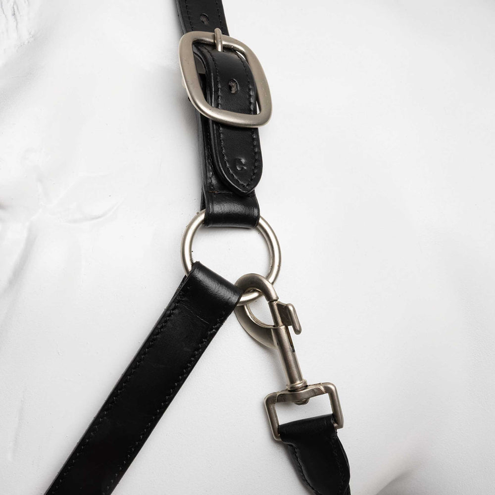Horze Dynasty Crystal Leather Halter and Lead Set image #2