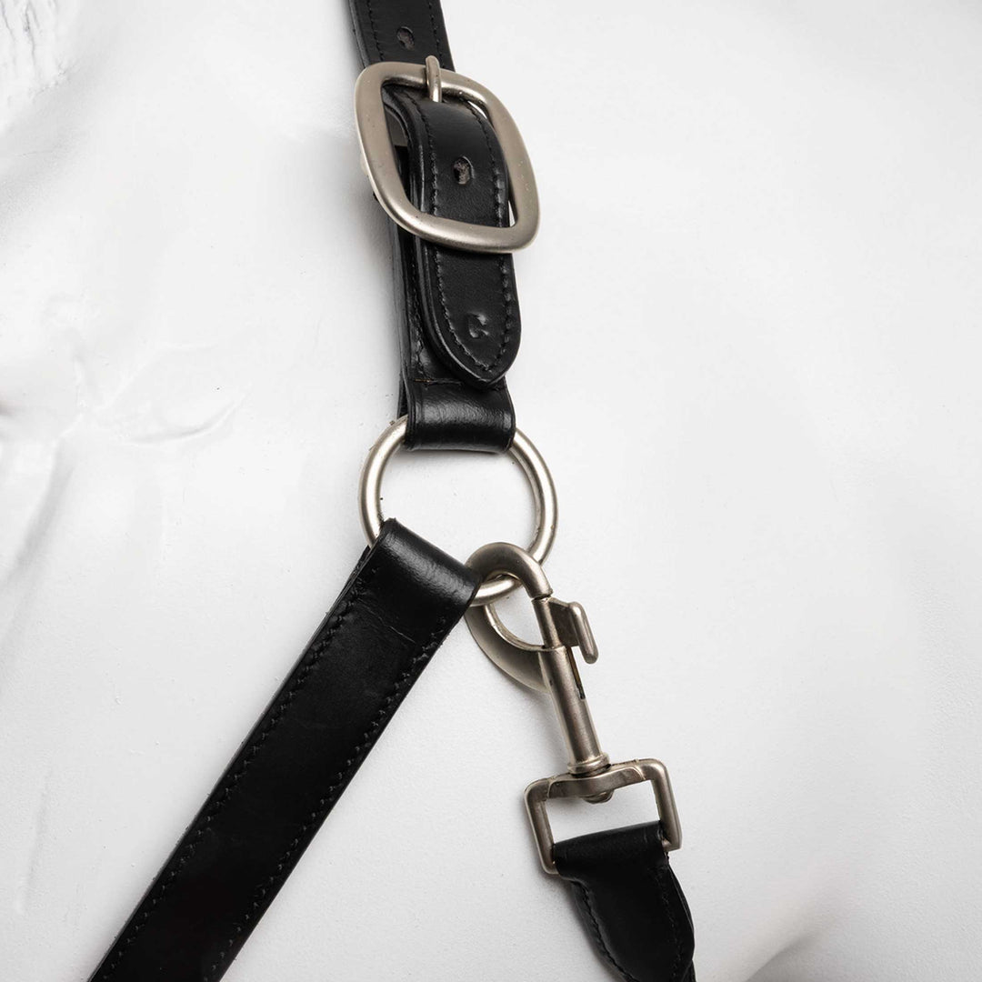 Horze Dynasty Crystal Leather Halter and Lead Set image 