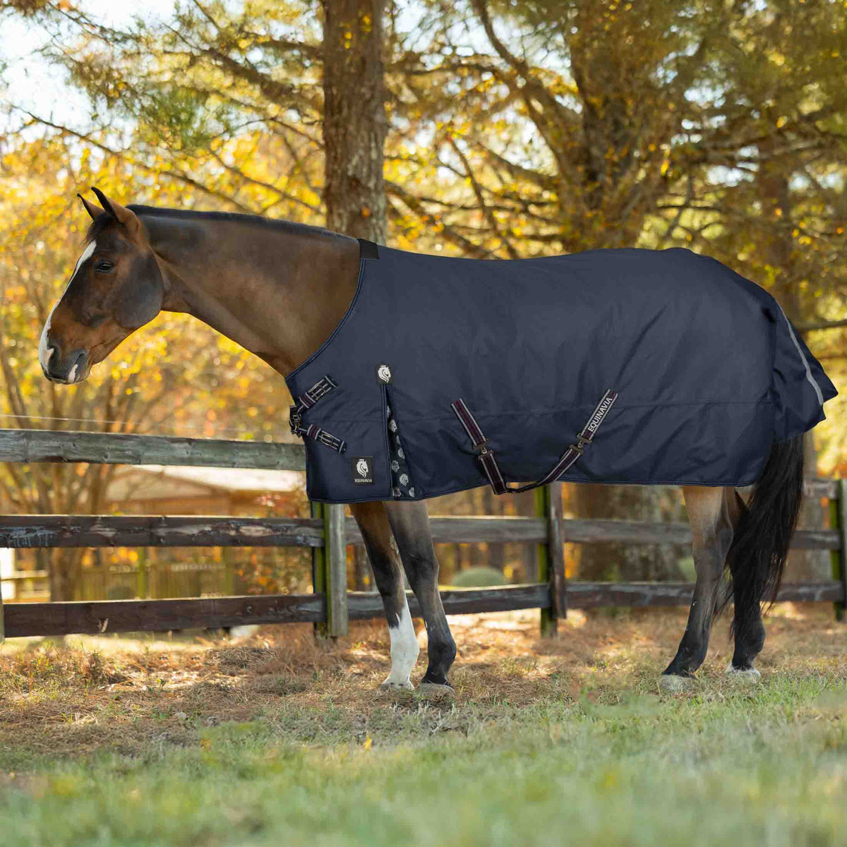 Equinavia Arktis VariFlex Turnout Blanket image #1