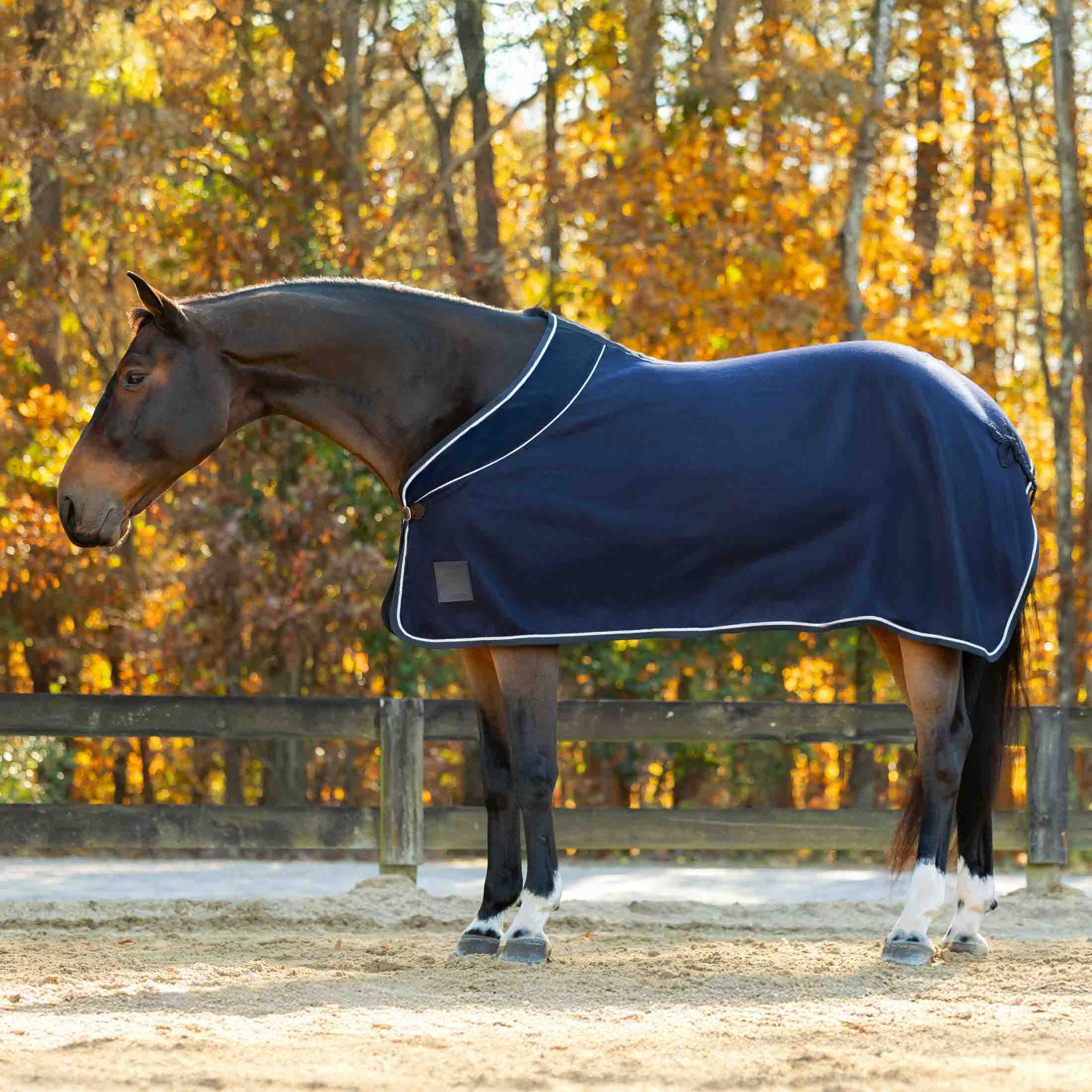 Equinavia Ulla Wool Cooler image #1