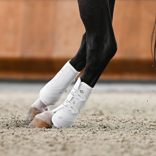 Veredus Absolute Easy Strap Rear Dressage Boots image 