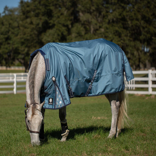 Equinavia Thunder 360 Detachable Neck Mid Weight Turnout Blanket 200g image 