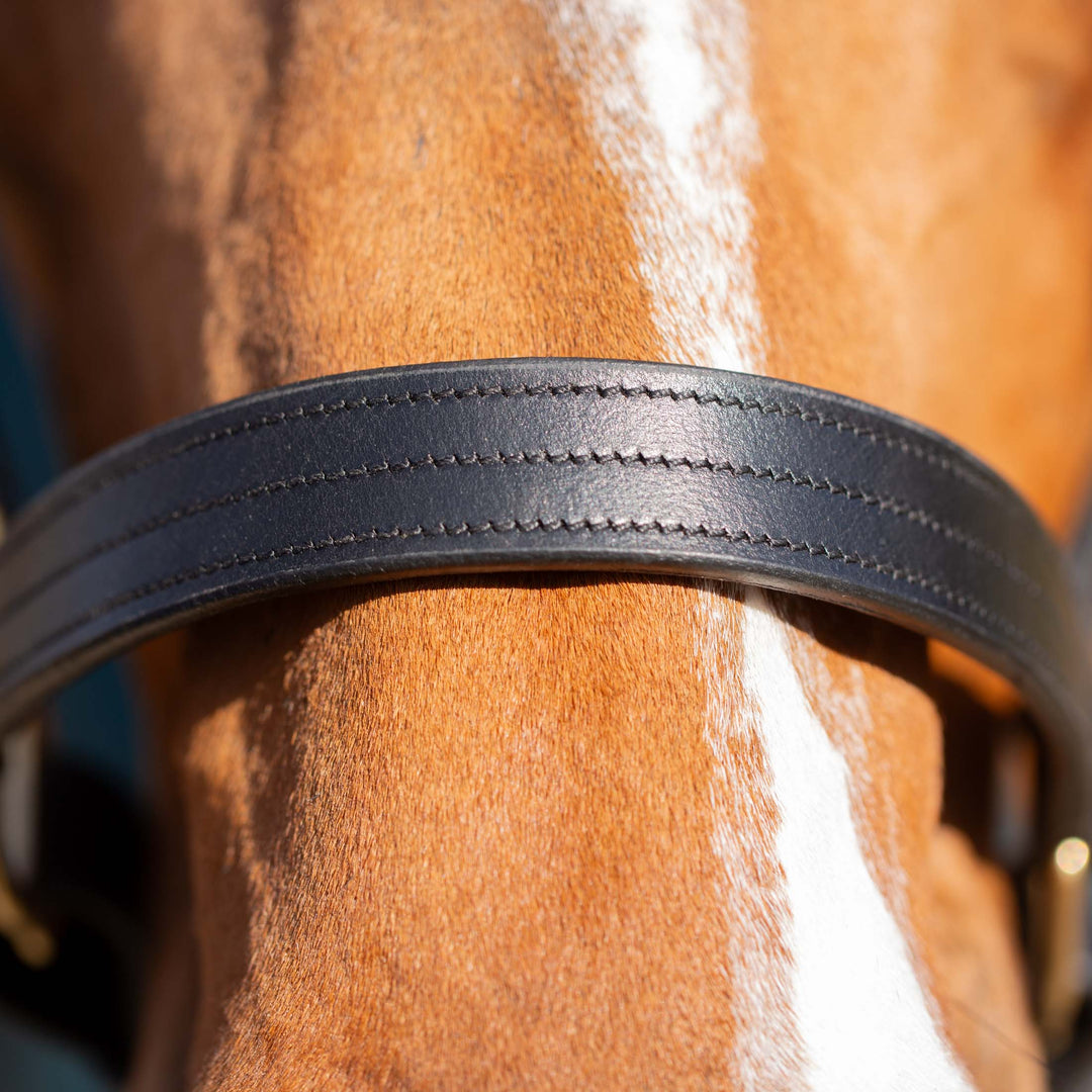 Equinavia Valkyrie Classic Leather Halter image 
