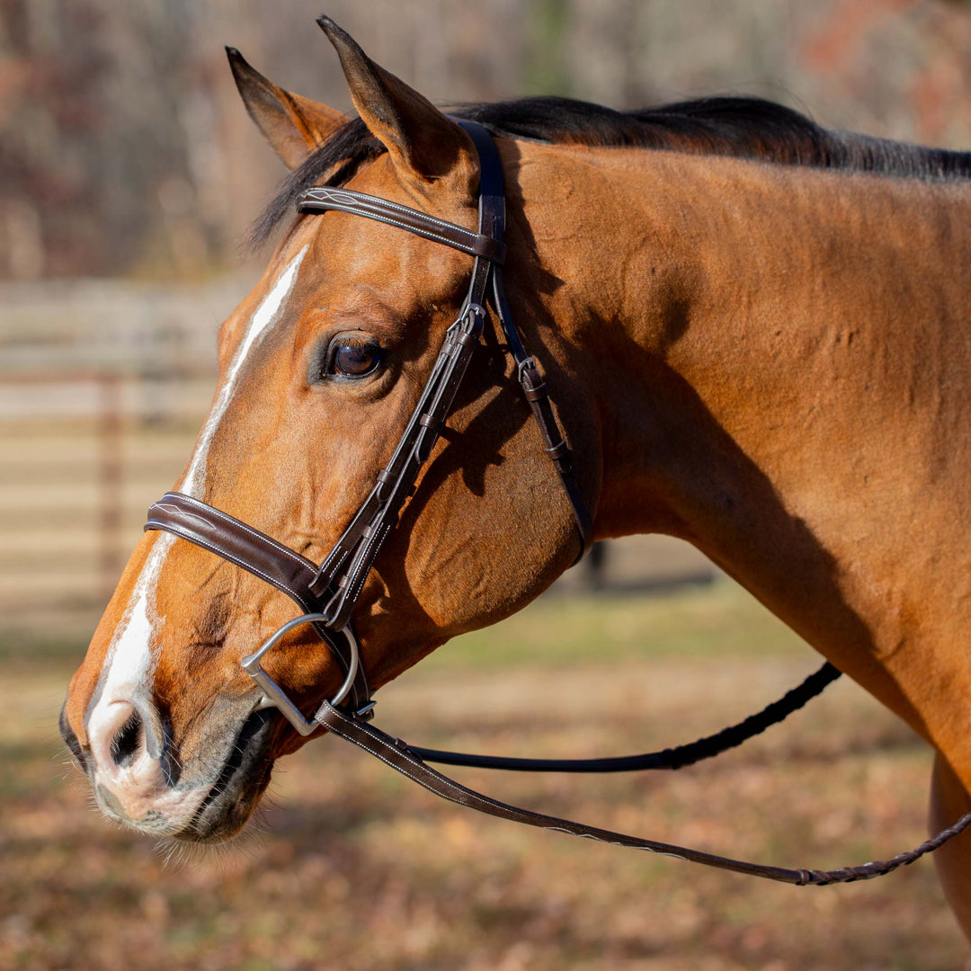 Equinavia Valkyrie Classic Wide Noseband Hunter Bridle with Reins image #1