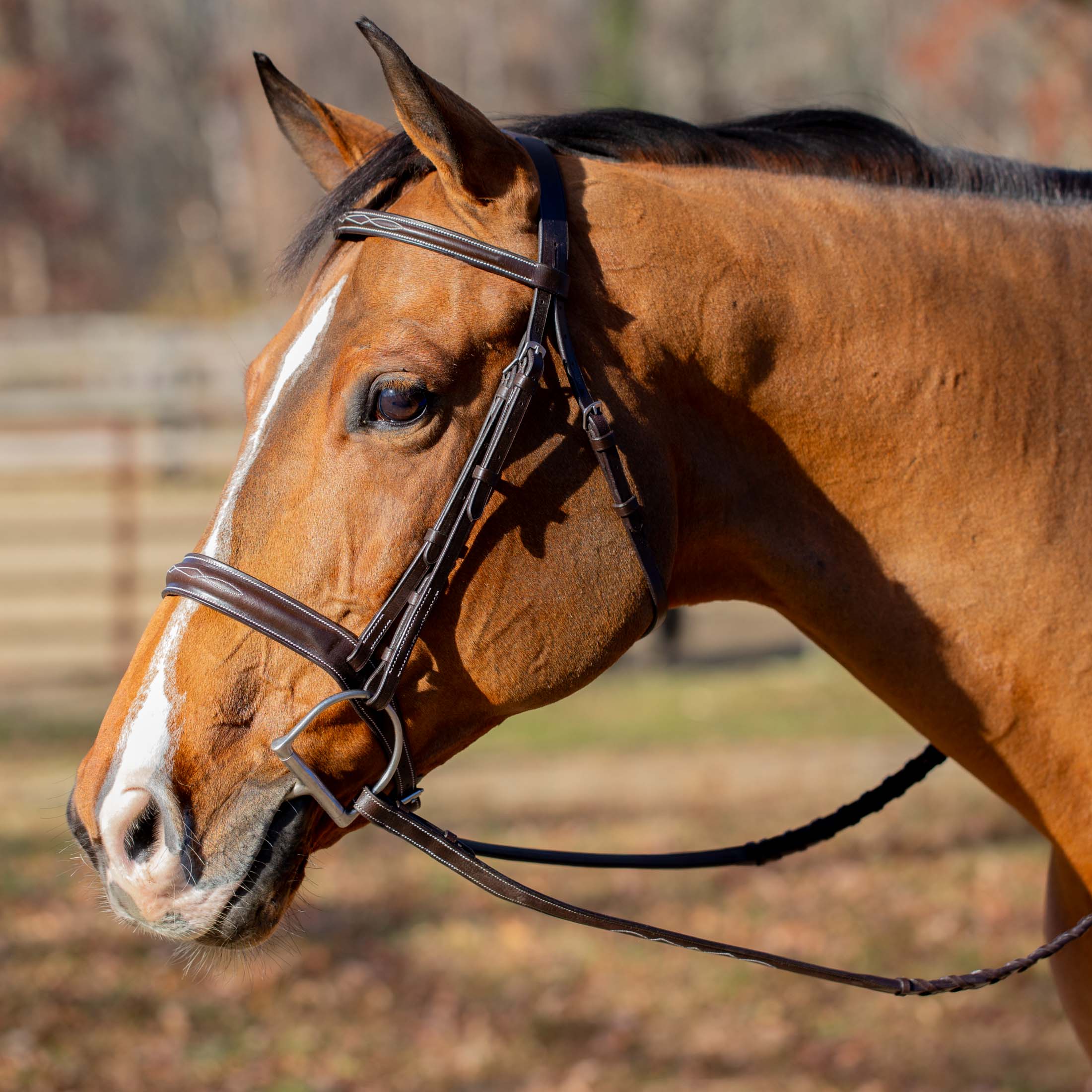 Equinavia Valkyrie Classic Wide Noseband Hunter Bridle with Reins image #1