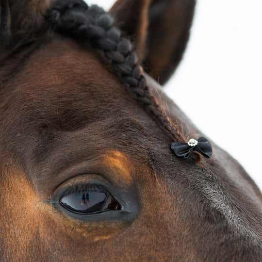 Horze Sparkling Mane Bows image 