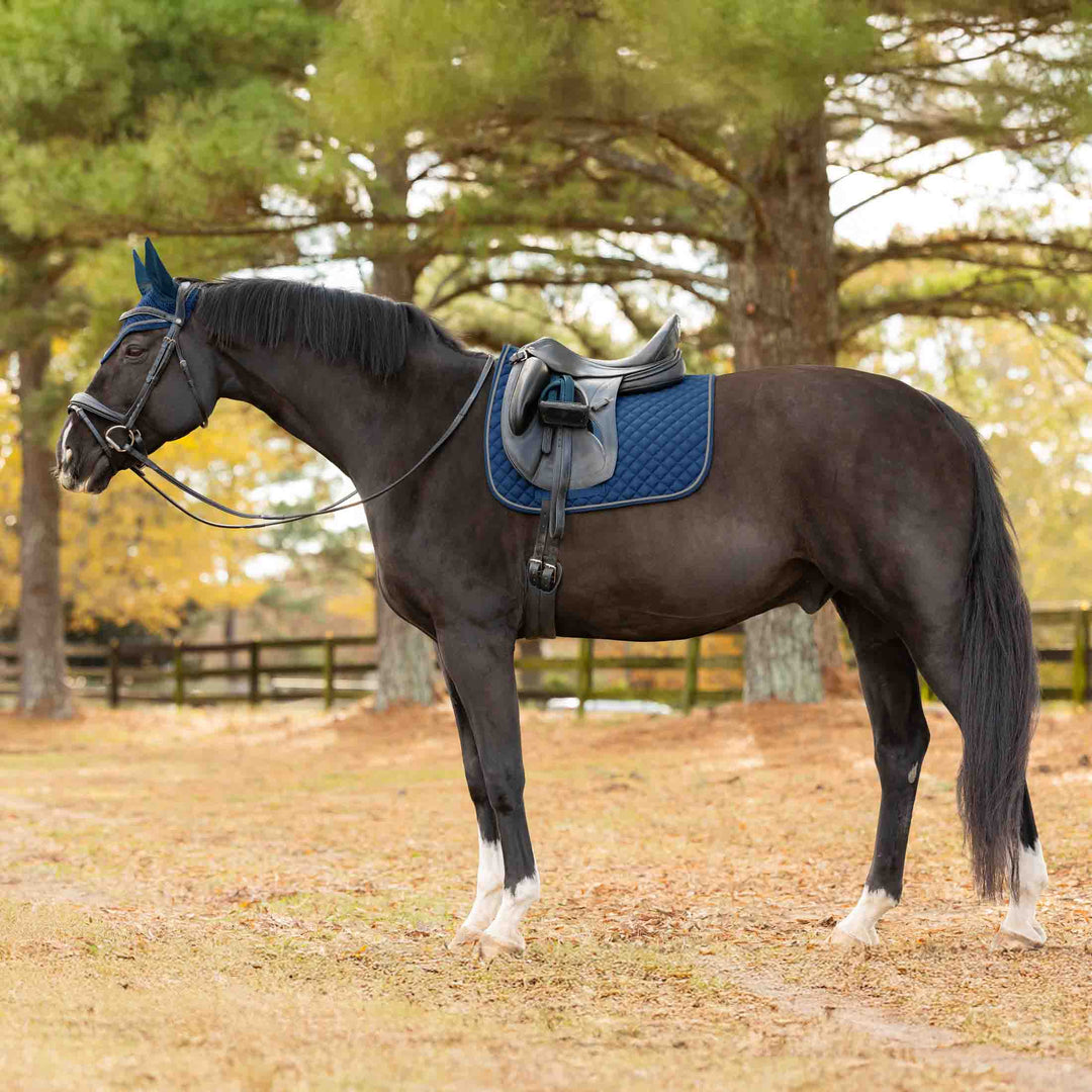 Equinavia Voss Dressage Saddle Pad and Bonnet Set image 