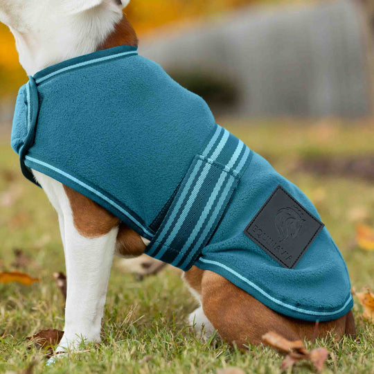 Equinavia Norse Fleece Dog Coat image 