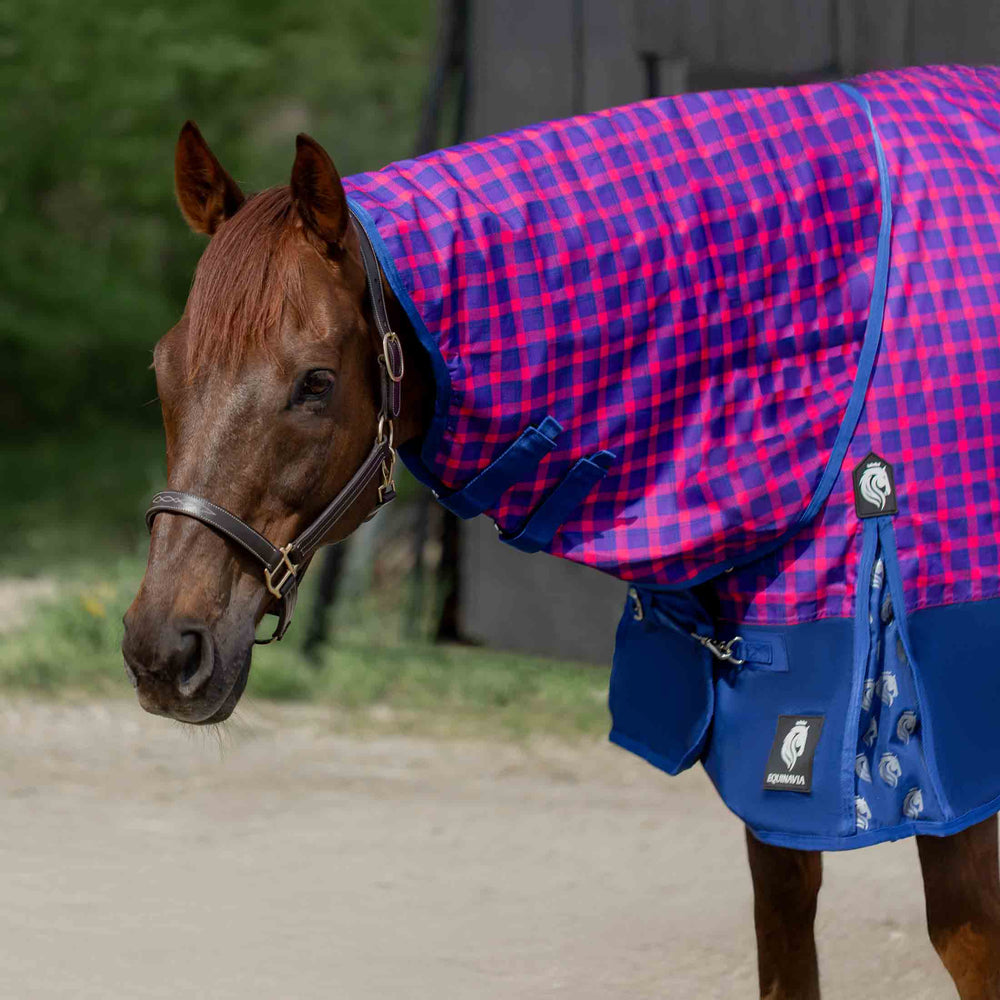 Equinavia Norse Light Weight Turnout Blanket 100g image #4