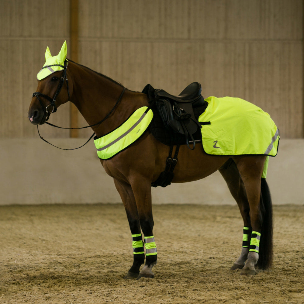 Horze Reflective Harness image #3