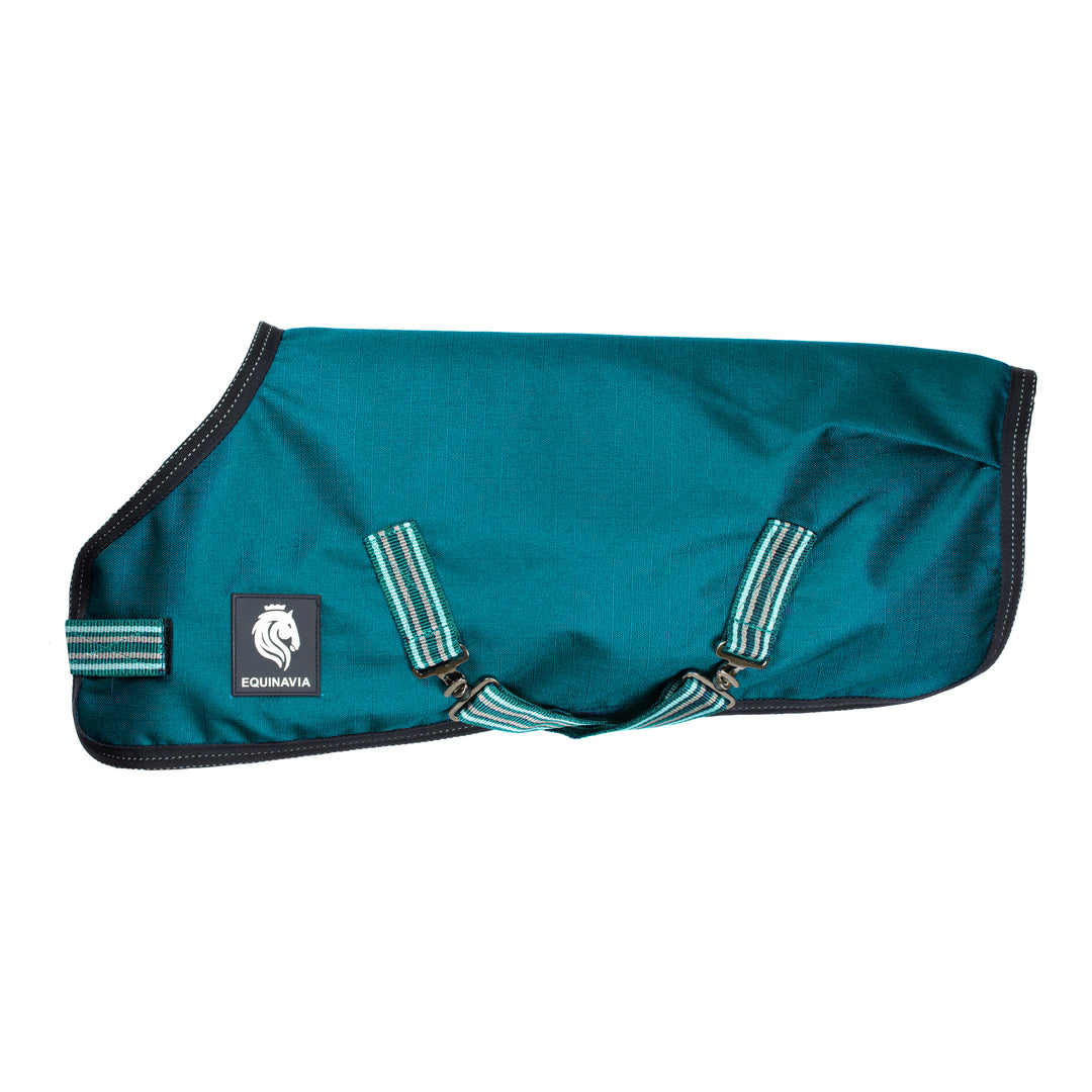 Equinavia Arktis Dog Turnout Sheet image 